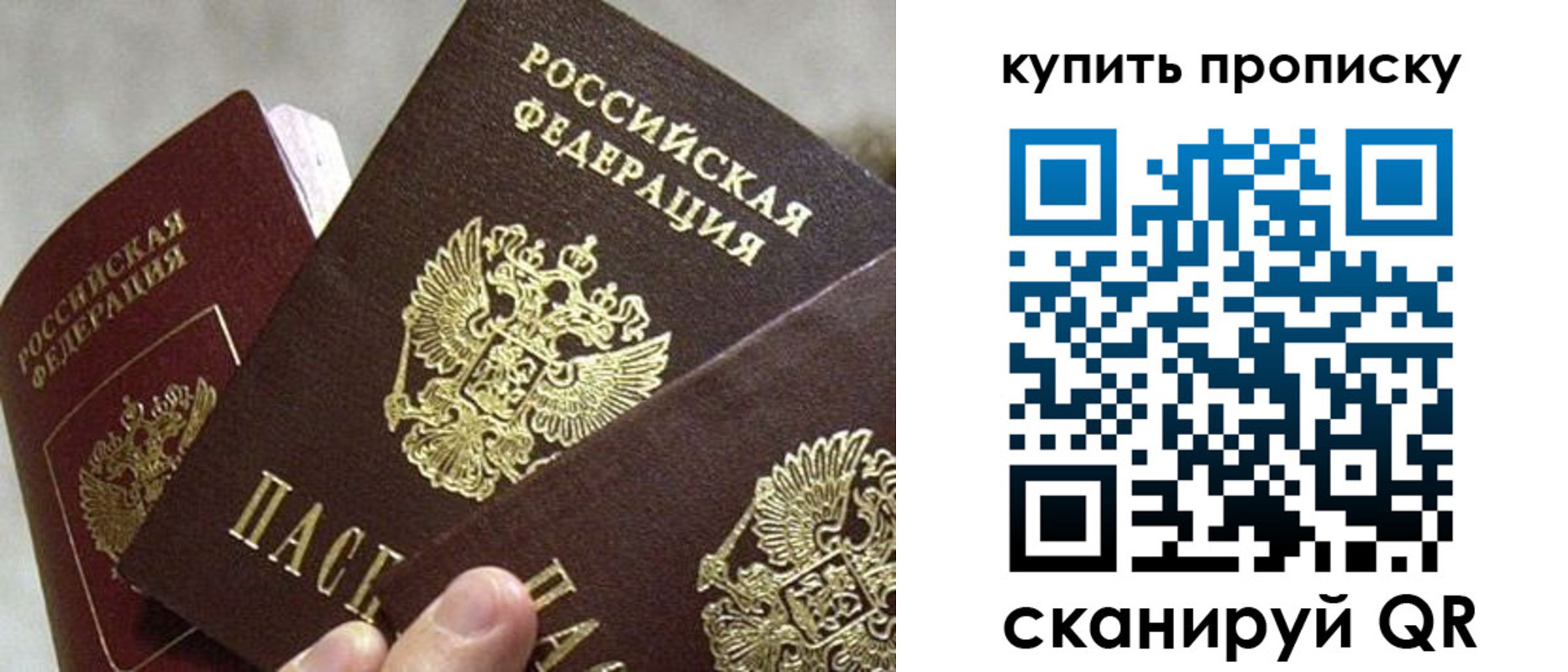 прописка для школы в Тихвине